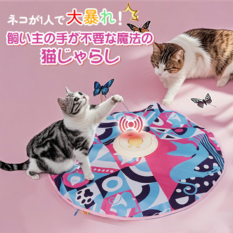 ��300�ߥ����ݥ������桪���ڥͥ�����ǽ�򤯤�����Ķ�ʲ��Ǥ���餷��ǭ ������� ��ư ǭ����餷 ǭ�Ѥ������ �ͤ�����餷 ���ͷ�� ǭ����餷 ��ư �ͥ�...