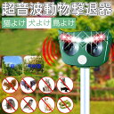 \SS期間限定!超お得!/★アップグレード 猫よけ 鳥よけ 犬よけ 動物撃退器 害獣撃退器 超音波/警報音/LED強力フラッシュライトで撃退 6つ撃退モード P...