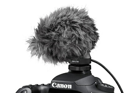����Υ�Canon �����ƥ쥪�ޥ������ۥ�DM-E100