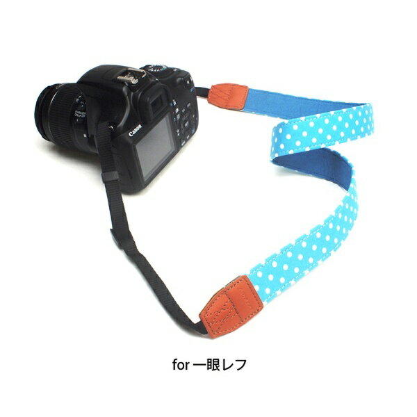 ����̥ܡ��ͥå����ȥ�åס�AR-0183�ʿ�� �֥롼��