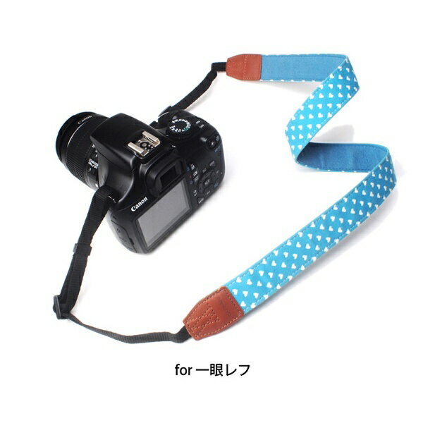 ����̥ܡ��ͥå����ȥ�åס�AR-0185�ʥϡ��� �֥롼��