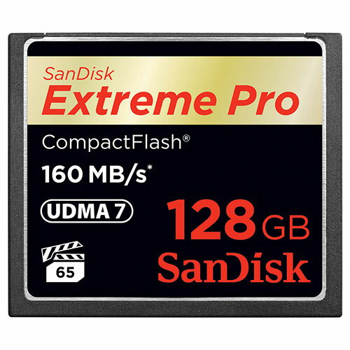 SanDisk サンディスク CompactFlash コン