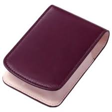 【アウトレット品】CASIO カシオ カメラケース ESC-110BN ブラウン EXILIM（EX-S12）用