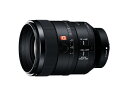 【新品】ソニー SONY FE 100mm F2.8 STF GM OSS [SEL100F28GM] （フルサイズ対応 Eマウント）