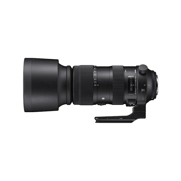 【新品】シグマ SIGMA 60-600mm F4.5-6.3 DG OS HSM Sports [Nikon Fマウント(ニコン)]