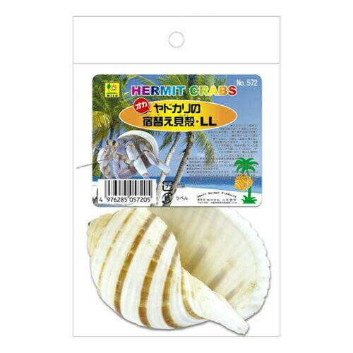 オカヤドカリの宿替貝殻 LL 572 SANKO(三晃/サンコー)