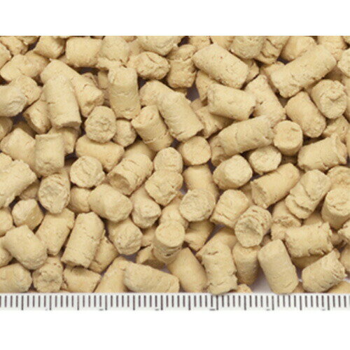 乳酸菌サプリ お徳用 100g 424 SANKO(三晃/サンコー) topcreate-10015027 爬虫類用品店 トップクリエイト サンプル画像2