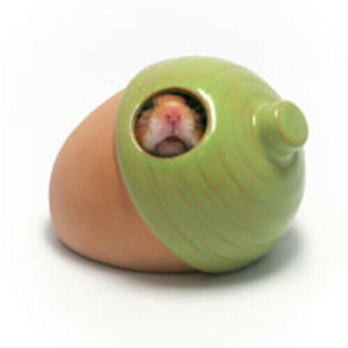 素焼きハウス どんぐり S55 SANKO(三晃/サンコー)