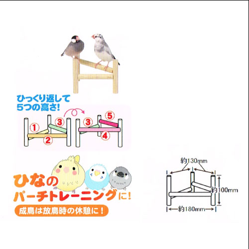 小鳥のポップ・ステップ・パーチ B71 SAN...の紹介画像2