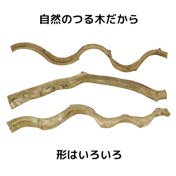 スパイラルパーチ L45 J45 SANKO(...の紹介画像2