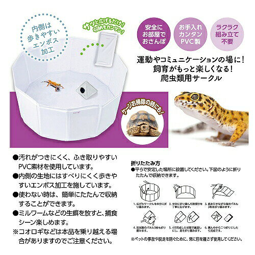 ジオグラウンド 爬虫類 レオパ トカゲ カメ