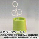 育て親セット K-1 コバヤシ