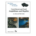 Czech Recent And Fossil Amphibians And Reptiles E `FR̗ނ঒ ECOjo[X(GRjo[X)