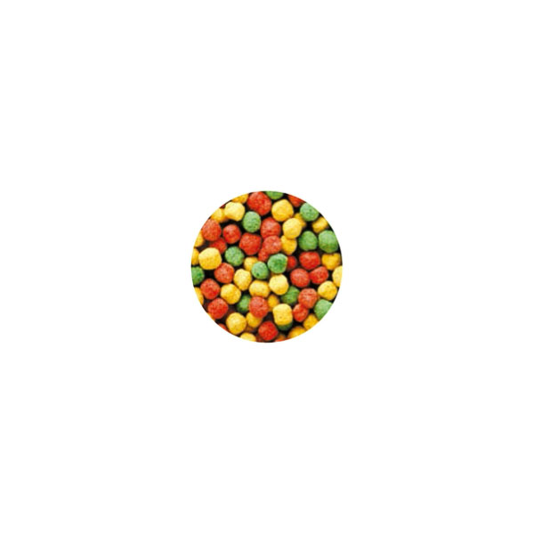 リクガメの栄養バランスフード 1kg GEX(...の紹介画像2