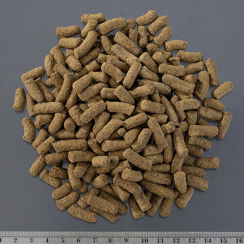 トカゲブレンドフード 400g GEX(ジェックス) 爬虫類 両生類 雑食性 昆虫食 エサ ア...