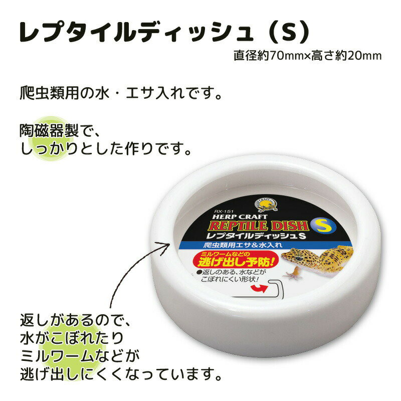 レプタイルディッシュ(S) スドー 爬虫類 両...の紹介画像2