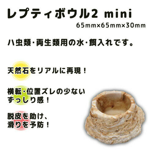 レプティボウル2 mini スドー 爬虫類 両...の紹介画像2