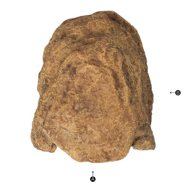 ロックシェルターSP S RX-191 スドー...の紹介画像2