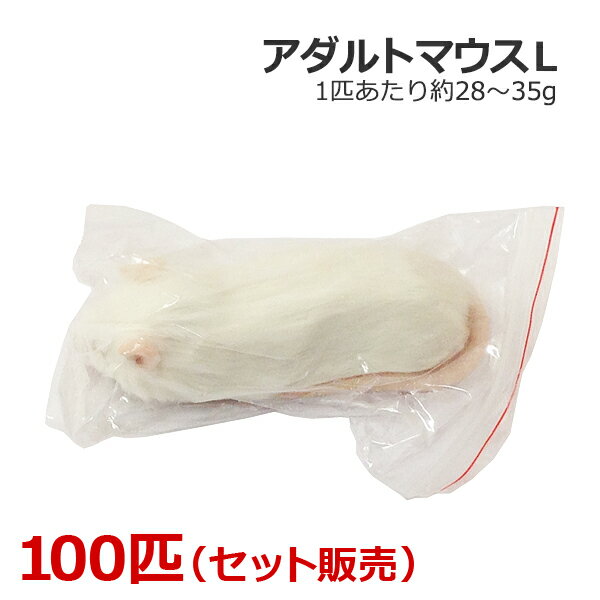 冷凍 アダルトマウス Lサイズ 100匹