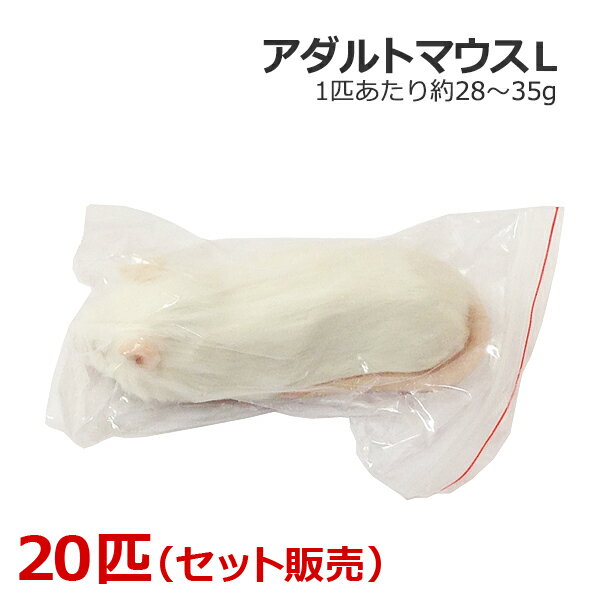冷凍 アダルトマウス Lサイズ 20匹の商品画像