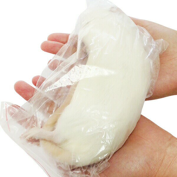 冷凍 アダルトラット LLサイズ 30匹の紹介画像2