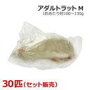 冷凍 アダルトラット Mサイズ 30匹(4)