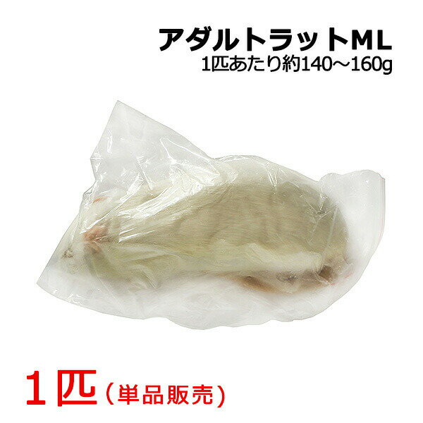 冷凍 アダルトラット MLサイズ 1匹