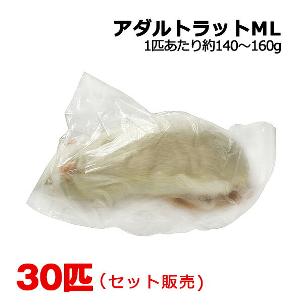 冷凍 アダルトラット MLサイズ 30匹