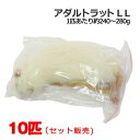 冷凍 アダルトラット LLサイズ 10匹(4)