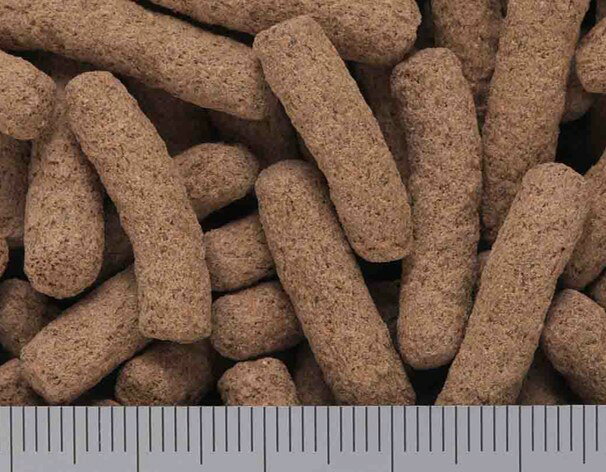 モニタードライ 500g キョーリン 爬虫類 フード オオトカゲ