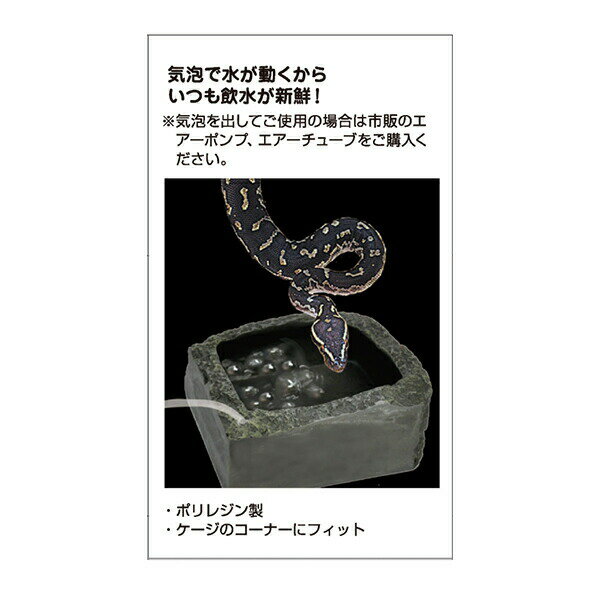爬虫類用品店　トップクリエイトのバブルディッシュ S RP-310 ビバリア 爬虫類 両生類 エサ入れ 水入れ エアーチューブ 気泡 新鮮 黒色 ヘビ カエル トカゲ カメ レオパ｜アングル2