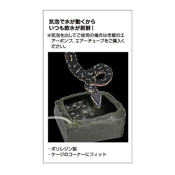 爬虫類用品店 トップクリエイトのバブルディッシュ L RP-318 ビバリア 爬虫類 両生類 エサ入れ 水入れ エアーチューブ 気泡 新鮮 黒色 ヘビ カエル トカゲ カメ レオパ｜アングル2