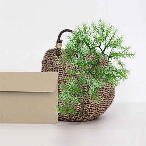 �������� ������ �ӥ奤���� 6 NE-685 �٥��ȥ�