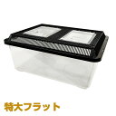 鈴木製作所 プラケース 特大フラット 黒蓋 【 6個セット】飼育容器 特大フラット 黒(435×345×198mm) プラケース