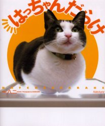 はっちゃんだらけ