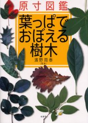 葉っぱでおぼえる樹木　原寸図鑑