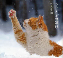 そっとネコぼけ