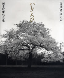 かぎろひ　陽炎〈桜・京・太夫〉　榎本敏雄写真集
