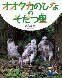 【中古】 オオタカのひなのそだつ里 / 松山 史郎 / 大日本図書 [単行本]【ネコポス発送】
