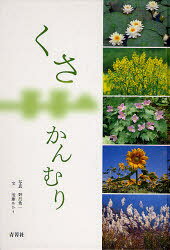 青菁社