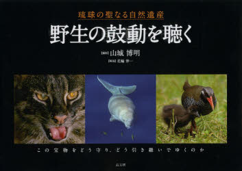野生の鼓動を聴く 琉球の聖なる自然遺産