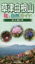 草津白根山花と自然ガイド