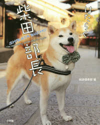 はたらく柴田部長　The　Legendary　Shiba　dog　in　Kyoto