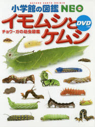 イモムシとケムシ チョウ ガの幼虫図鑑