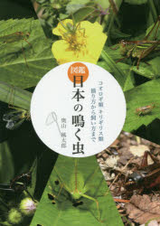 エムピージェー