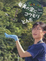 奄美の空にコウモリとんだ