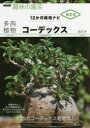 多肉植物コーデックス