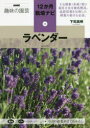 ラベンダー