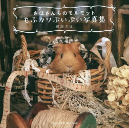 さほさんちのモルモットもふカワぷいぷい写真集