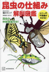 昆虫の仕組み解剖図鑑 ムシたちの不思議がわかる! 堀川ランプ 著 丸沢丸 解剖図